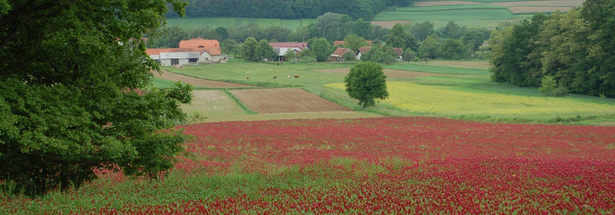 ZAKLADNICA DOŽIVETIJ 