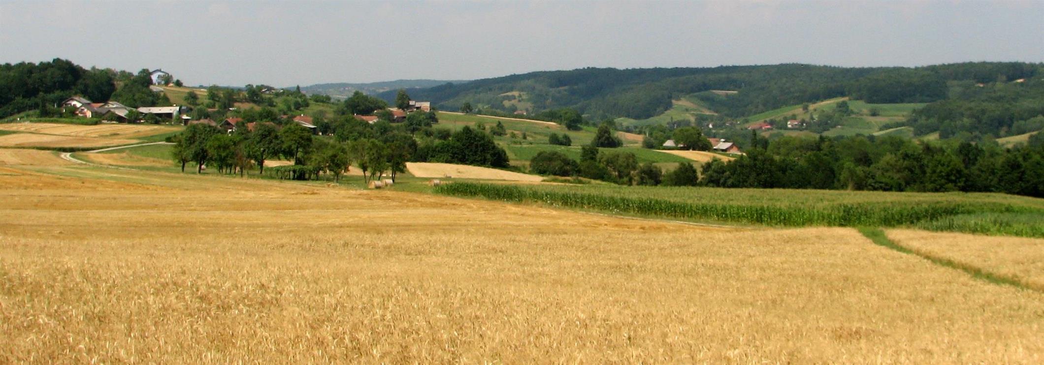 ZAKLADNICA DOŽIVETIJ 