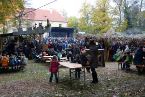 Popoldan v grajskem parku