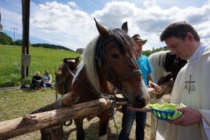 58440119_2248073372121121_262443864952930304_o