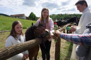 58916984_2248073565454435_8041459687683522560_o