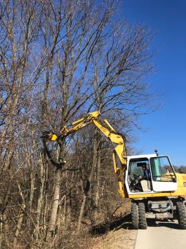 LC Križarka - Vidonci 