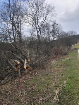 LC Dolnji Slaveči  (okrog Pöršovega mlina) 