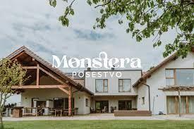 monstera