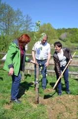 30704884_1844156795635852_6219570380942585271_n