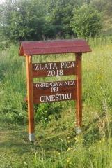 V KOVAČEVCIH ZLATA PICA 